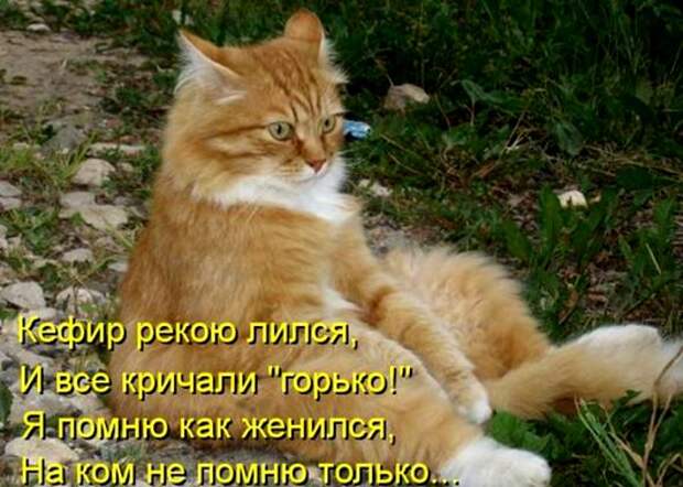 b1f04bce2e89ba78c93c68cc083_prev