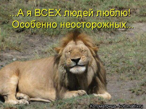 3201191_kotomatritsa_YK (550x412, 58Kb)