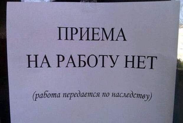 Для тех, кто в поиске работы объявления, подбрка, юмор