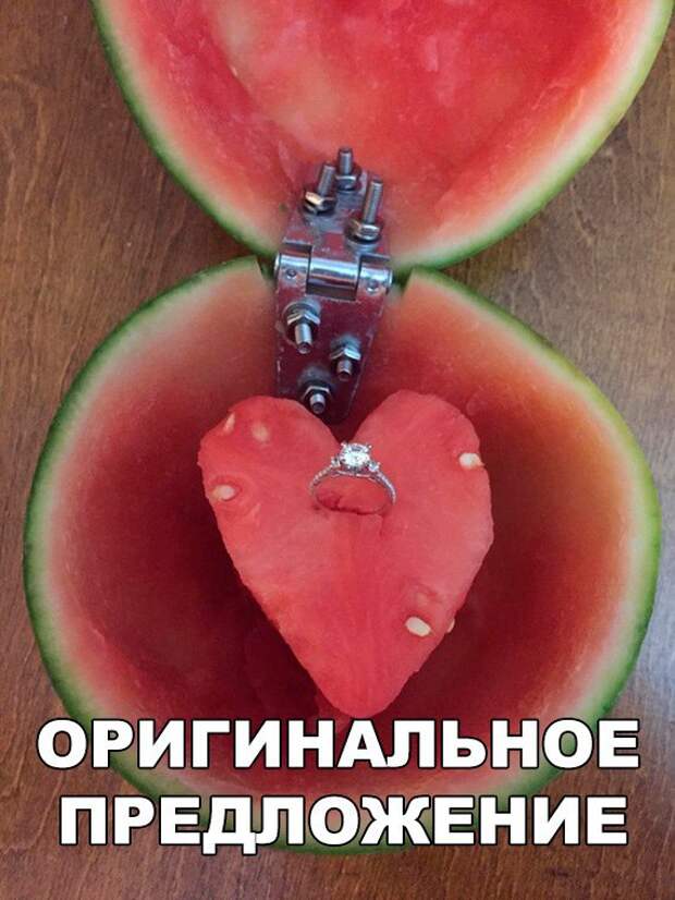 Забавные картинки с надписями со смыслом (11 фото) Забавные картинки с надписями со смыслом (11 фото)