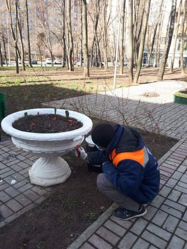 вазоны.jpg