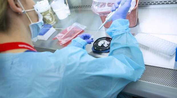 В России создали искусственный аналог мышц