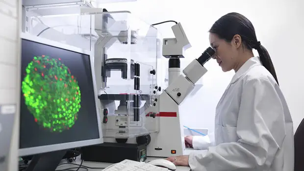 «Ни слова — о назначении этих учреждений»: почему Китай обеспокоен работой биолабораторий США на границе с Россией