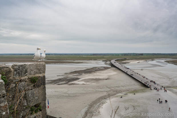 mon-saint-michel-france-35