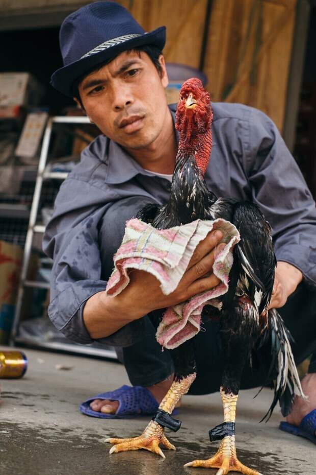 Вьетнамский колорит