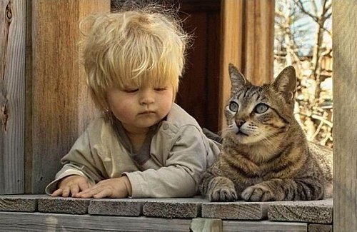 мальчик и кот