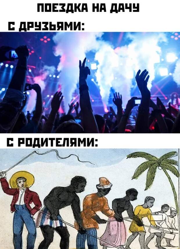 Смешные фото вечер 24 августа 2020
