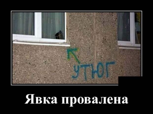 Демотиваторы (30 фото)