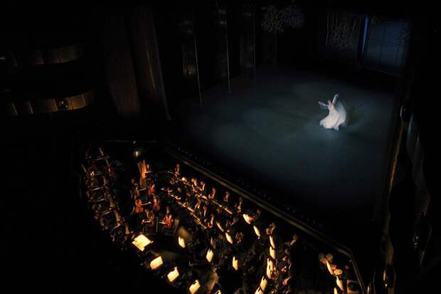 NYCB14 Мир профессионального балета глазами Генри Лютвайла