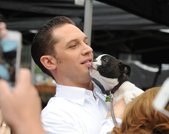 https://sobakibalabaki.com/wp-content/uploads/2017/09/love-for-dogs-tom-hardy-59bf7e0f6e613__700.jpg