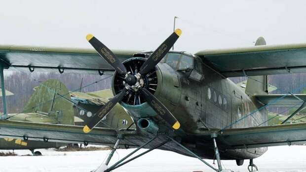 СК рассматривает ошибку пилота и технеисправность как причины крушения Ан-2 на Камчатке