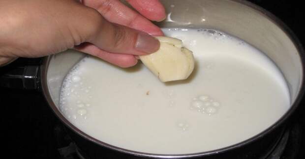 польза чесночного молока