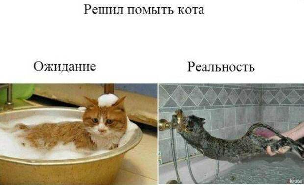 Всё в кучу 6