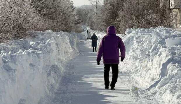 5 знаков зодиака, которые считаются самыми умными