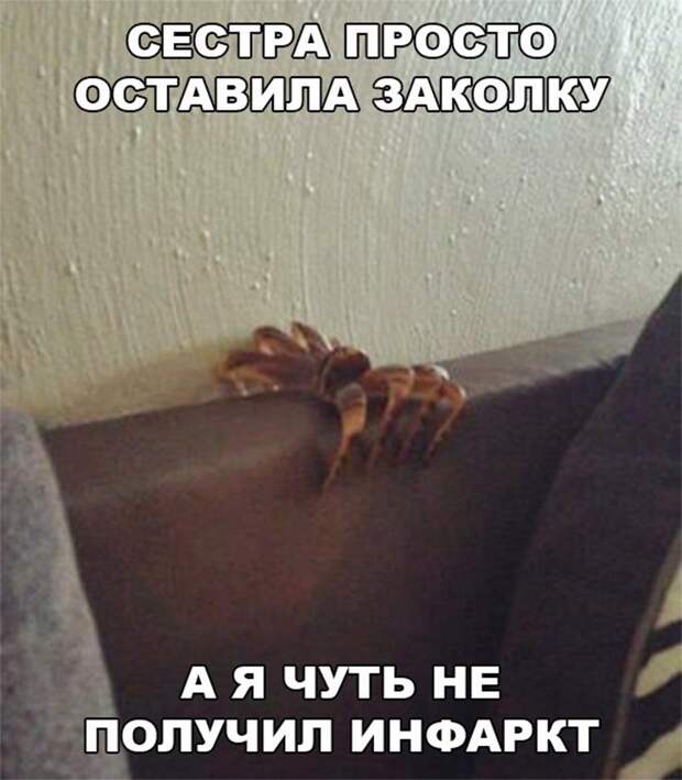Замечательные картинки с надписью до слез (12 фото) Замечательные картинки с надписью до слез (12 фото)