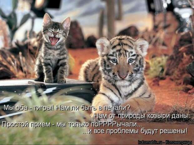 Мысли вслух :)