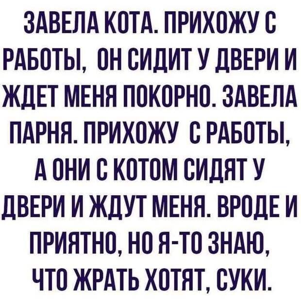 Из жизни... Из жизни...