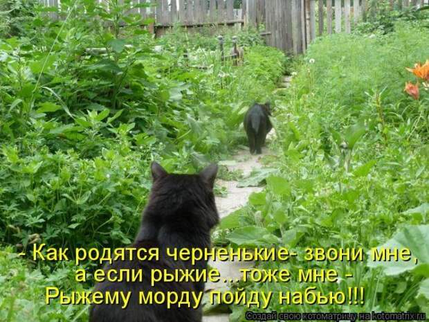Мысли вслух :)