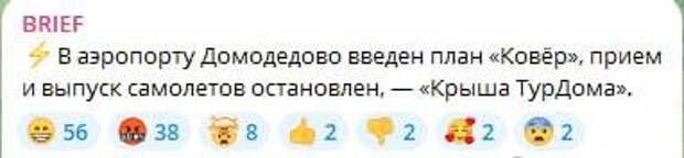 План ковер в домодедово сегодня