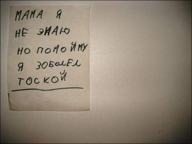 Прикольные надписи и объявления