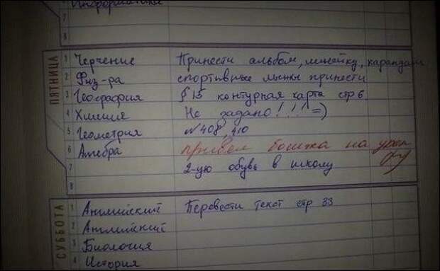 Безумно смешные записи учителей в школьных дневниках! Безумно смешные записи учителей в школьных дневниках!