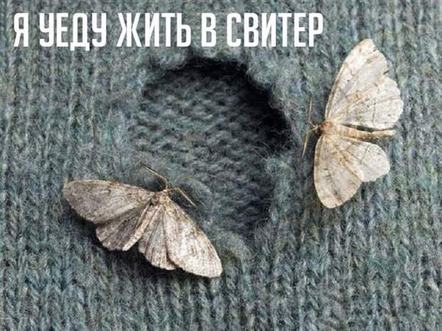 Прикольные картинки Прикольные картинки