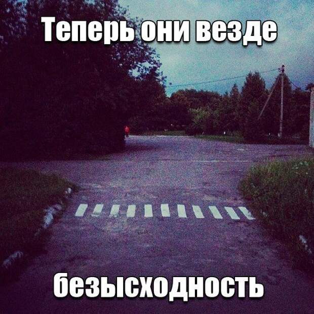 Юмор о четырех колёсах