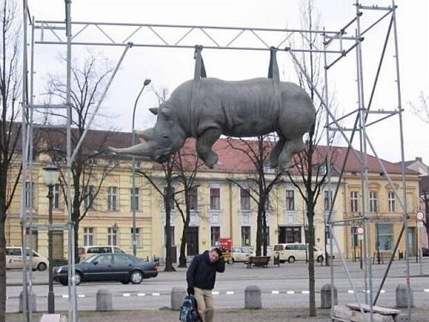Висящий носорог (название неизвестно) Потсдам, Германия.