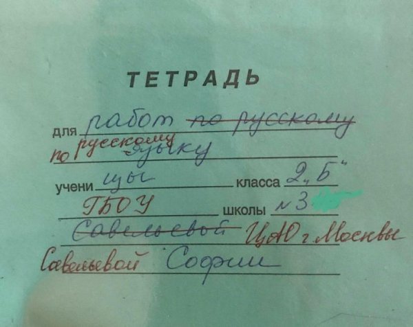 Подборка странных и забавных замечаний от учителей Подборка странных и забавных замечаний от учителей