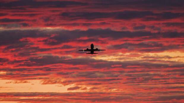 Сделка состоялась? Независимый эксперт объяснил молчание Голландии по расследованию MH17 и назвал покупателя "козырей" детектива Реша