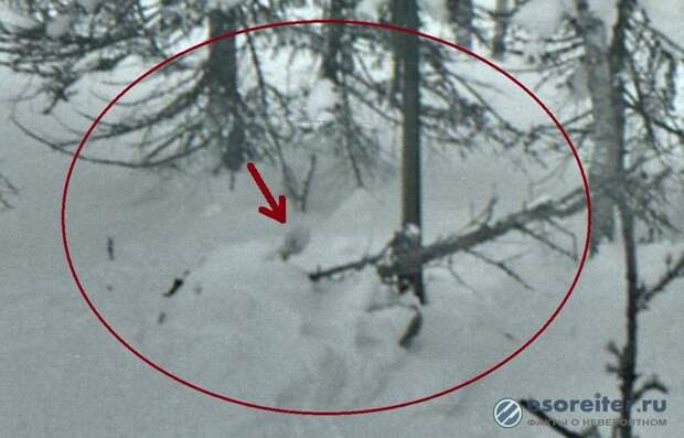 Исследователь нашел 10-е тело на снимках с места гибели тургруппы Дятлова