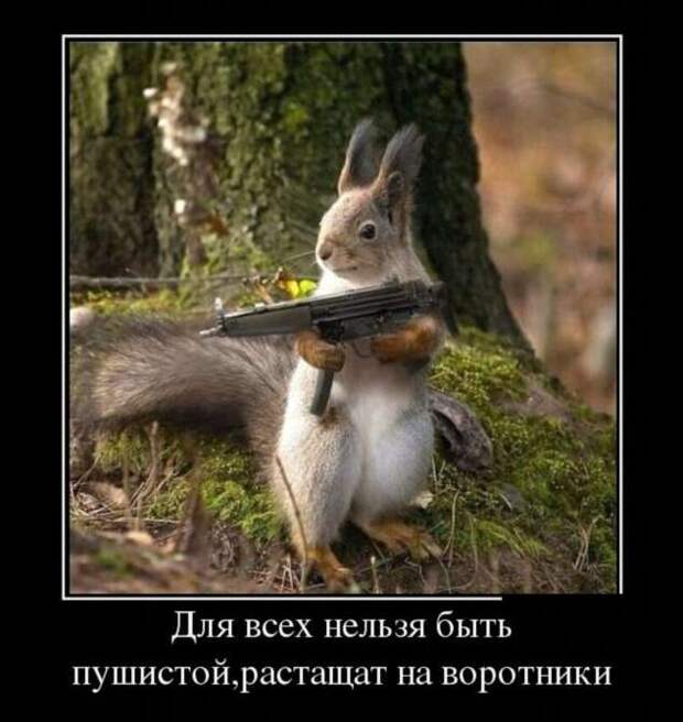 Демотиваторы. Подборка chert-poberi-chert-poberi-15370805052020-18 картинка chert-poberi-15370805052020-18