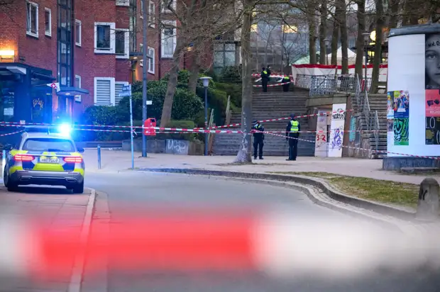 В Новосибирске проводят проверку после смерти восьмиклассницы