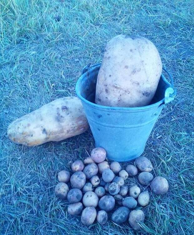 ПОЗИТИВНЫЙ ПОСТ+ 198