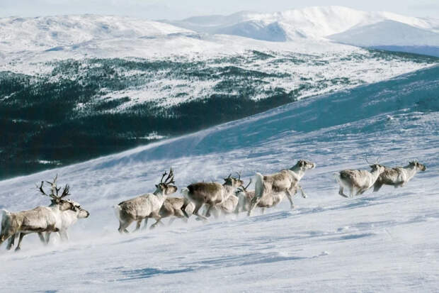 Белье не стирают, а выкидывают за окно: как выживают в Арктике при -47