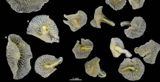 3481528e461ec12b49e43bc093c57784