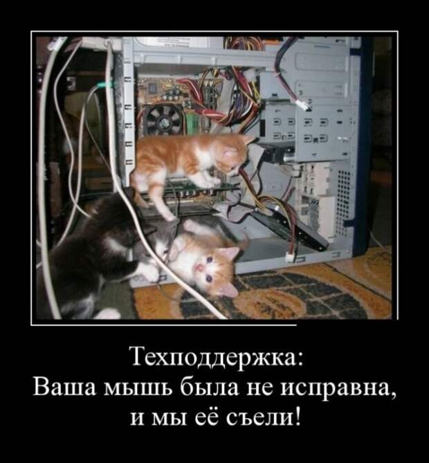Демотиваторы (30 фото)