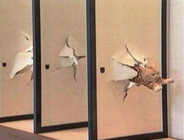 друзьям