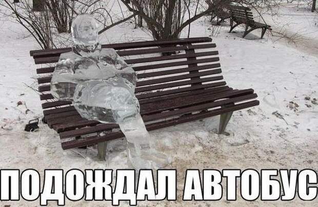 Подборка автоприколов. Часть 193 автоприколы, приколы