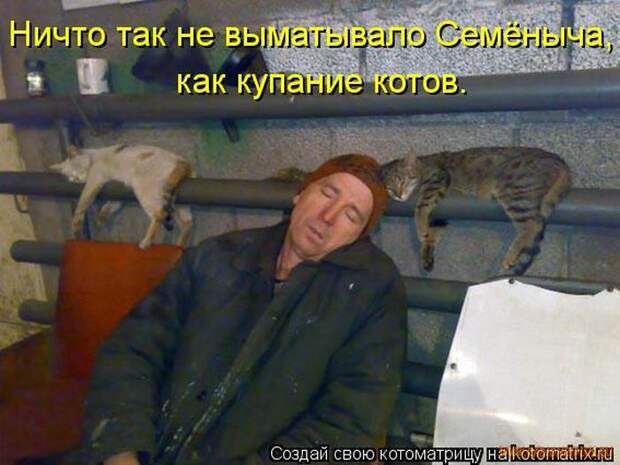 Уфф!!! Ну наконец-то! Котоматрицы великолепные, каждая с улыбкой и хорошим настроением!
