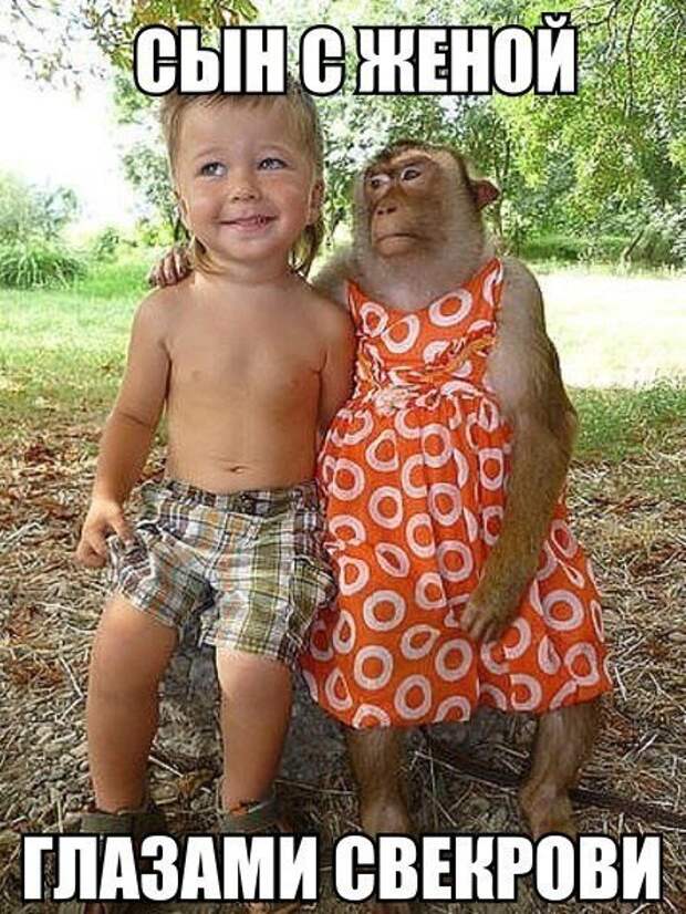 Прикольные фотомемы (27 фото)