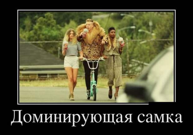 Демотиваторы (30 фото)