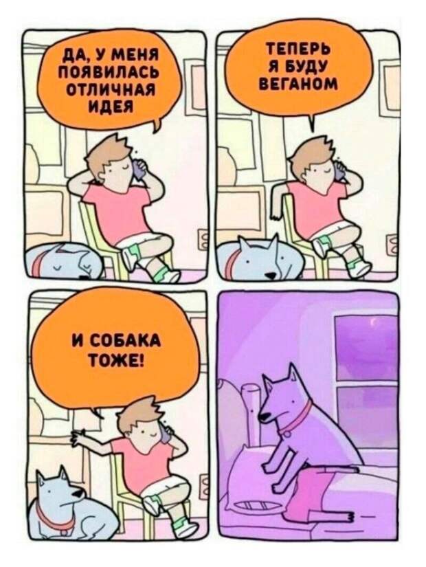 Комментарии и картинки из соцсетей