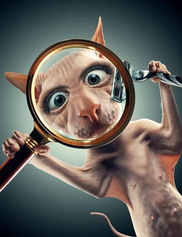 Приколы и позитив в фотках и картинках