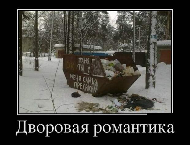 Веселые и свежие демотиваторы для настроения (11 фото)