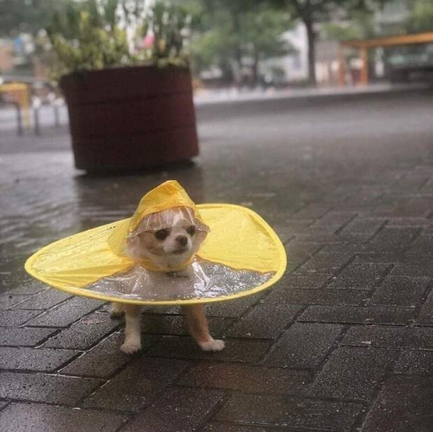 Фотоподборка