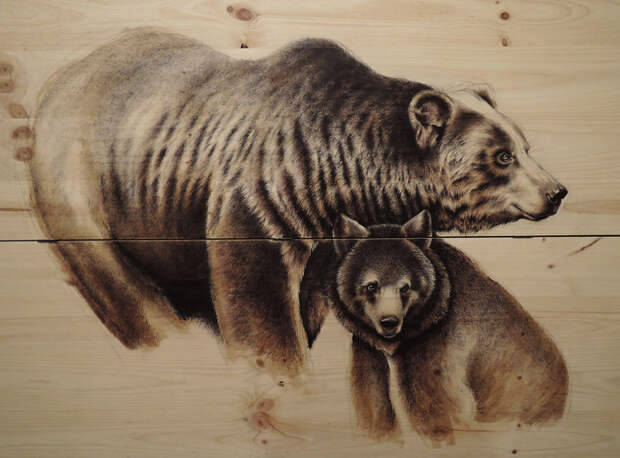 Медведи (перо, тушь) живопись, художник, экология