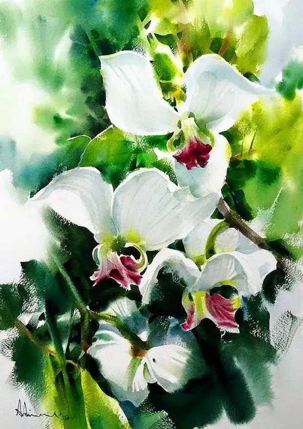 �������� Adisorn Pornsirikarn. ��������� � ��� �������� ����