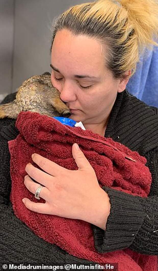 Даря жизнь отверженным: семья из Оклахомы спасла более 300 покалеченных и больных собак