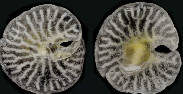 20629445190d83cfc158f52b1470e19c